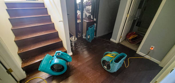 Best Ceiling water damage repair  in Westhaven Moonstone, CA