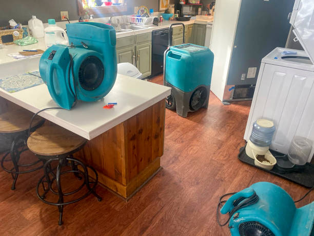 Best Mold removal after water damage  in Westhaven Moonstone, CA