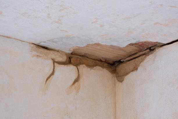  Westhaven Moonstone, CA Water damage restoration Pros