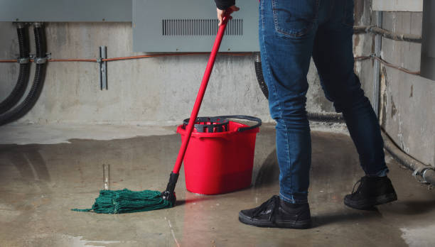 Best 24-hour water damage restoration  in Westhaven Moonstone, CA