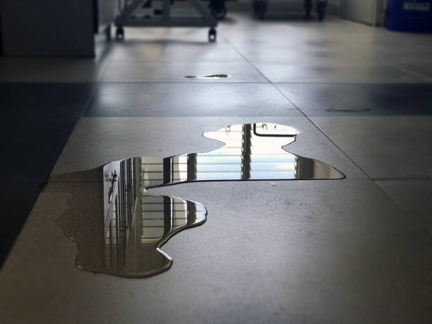 Best 24/7 water damage repair  in Westhaven Moonstone, CA