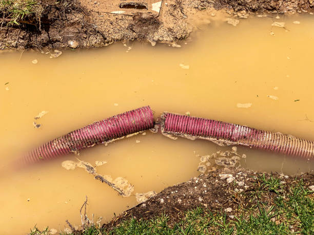 Best Carpet water damage restoration  in Westhaven Moonstone, CA